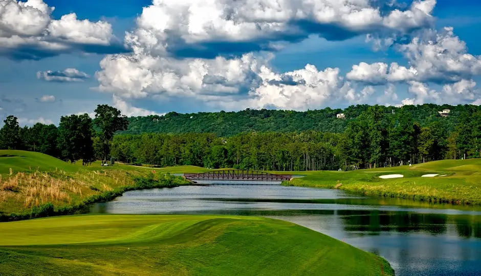 How to Choose the Right Golf Woods for Distance and Accuracy