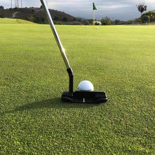 What Is a Putter In Golf? A Beginners Guide