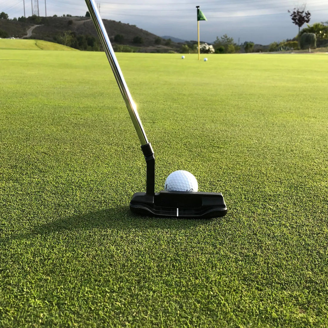 What Is a Putter In Golf? A Beginners Guide More Sports