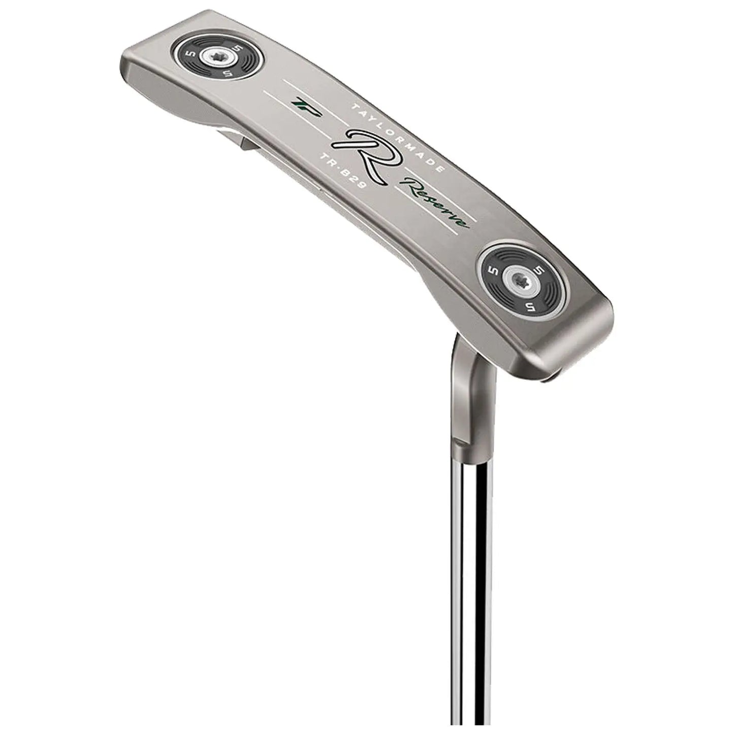 A silver golf putter with a sleek design stands upright featuring a smooth curved top and circular weights on either end set against a white background.