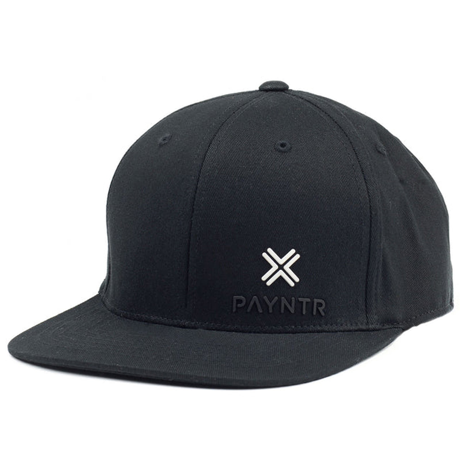 PAYNTR Mens Brand X Flex Fit Cap