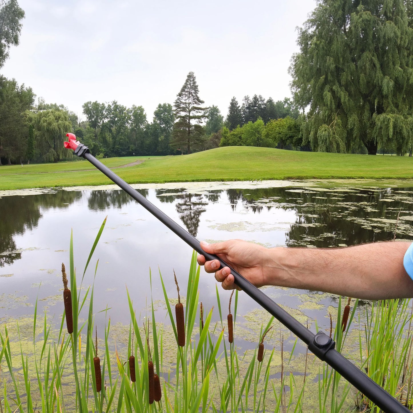 A hand holds a long black pole with a red attachment above a pond surrounded by tall green grass and trees under a cloudy sky reflecting in the water.