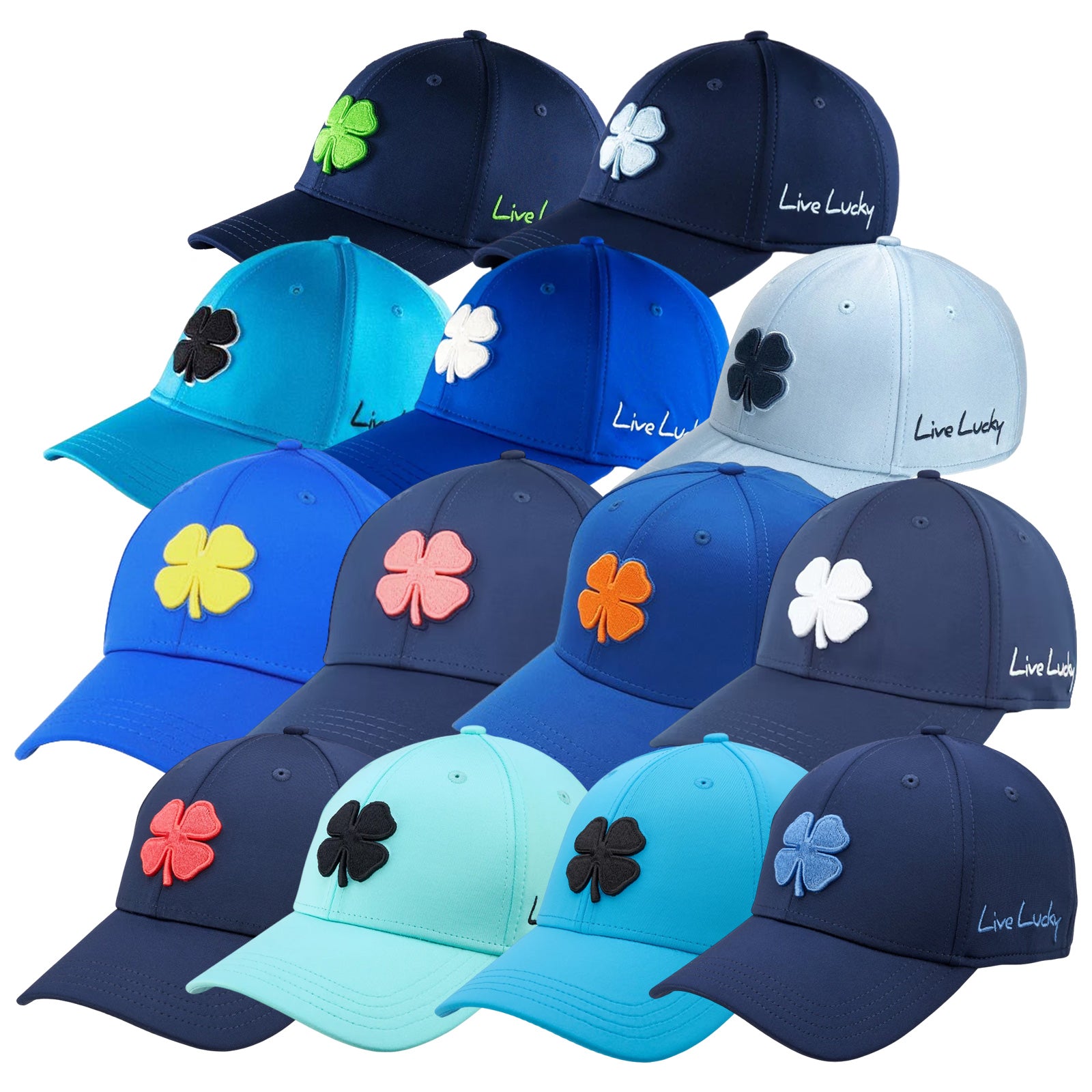 Black Clover Premium Clover Fitted Cap