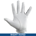 PAYNTR Mens X-002 Cabretta Leather RIGHT Hand Golf Glove
