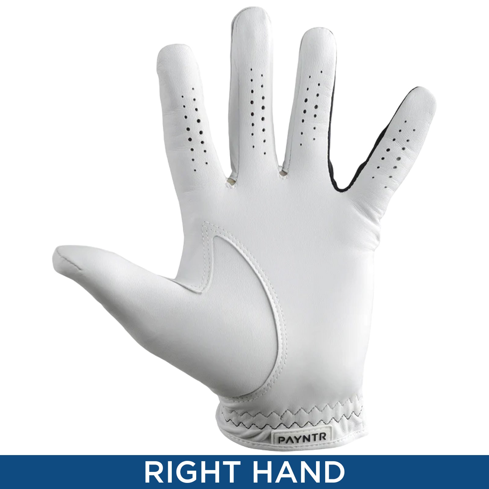 PAYNTR Mens X-002 Cabretta Leather RIGHT Hand Golf Glove