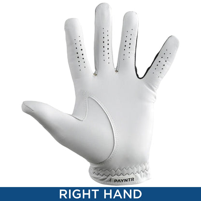 PAYNTR Mens X-002 Cabretta Leather RIGHT Hand Golf Glove