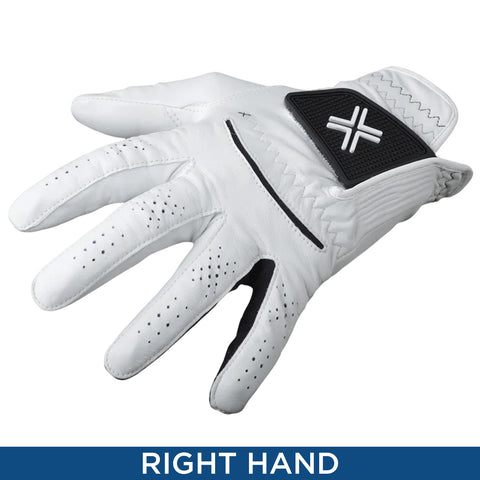 PAYNTR Mens X-002 Cabretta Leather RIGHT Hand Golf Glove