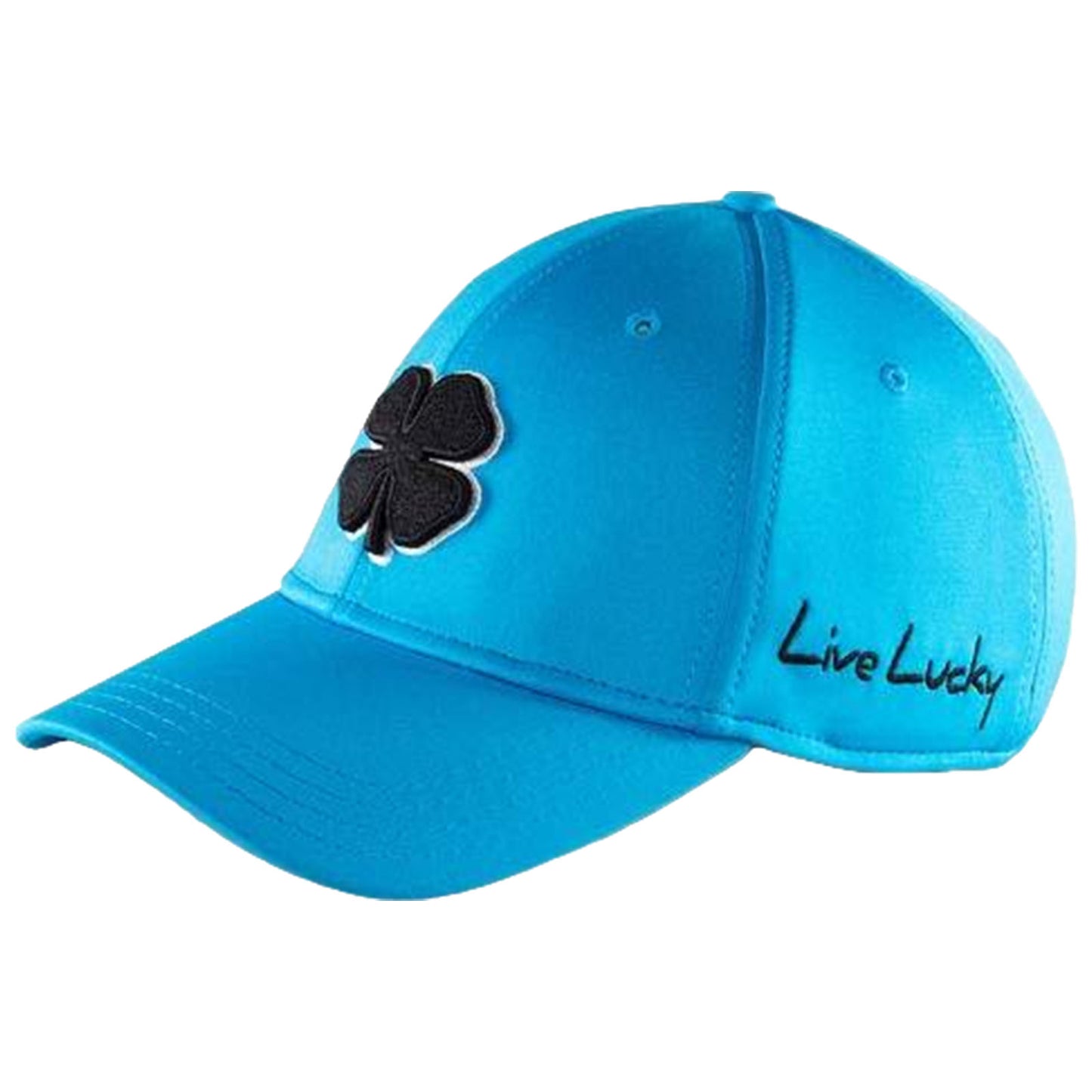 Black Clover Premium Clover Fitted Cap