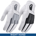 Under Armour Mens Glide Iso-Chill Pro RIGHT Hand Glove 6005704