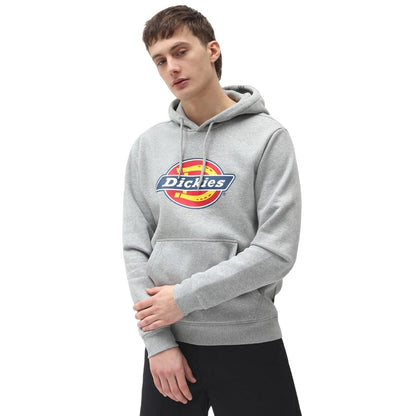 A young man stands wearing a gray hoodie featuring a circular colorful logo. He has a neutral expression and is positioned against a plain white background.