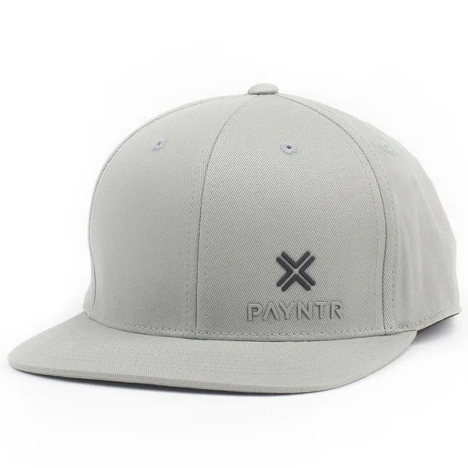 PAYNTR Mens Brand X Flex Fit Cap