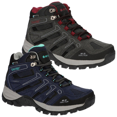 Two hiking shoes are displayed side by side. The first shoe is in gray and red, and the second shoe is in blue and black. Both feature sturdy designs suitable for outdoor activities.