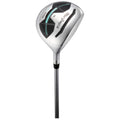 A golf club with a shiny metal head and a sleek shaft positioned upright showing design details on the clubface intended for driving golf balls in outdoor sporting contexts.