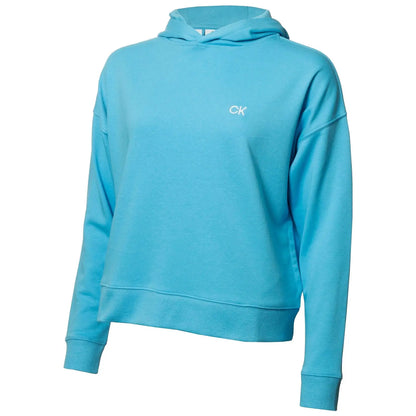 A light blue hoodie is displayed featuring a small white logo on the chest its casual design suggests comfort and is suitable for relaxed settings or outdoor activities